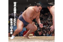 【岡崎発】*1泊2食付*『第五十回大会 日本大相撲トーナメント』2